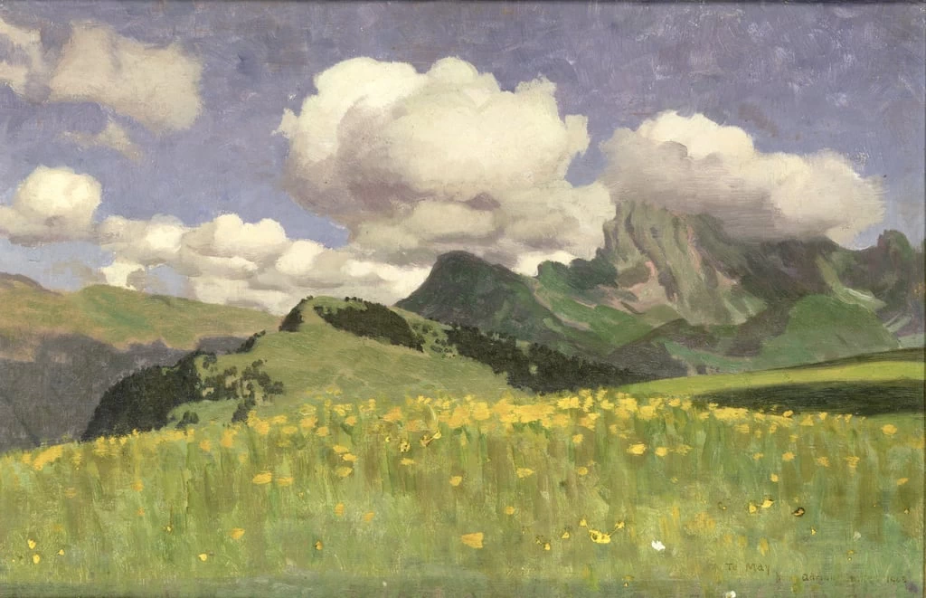 Adrian Scott Stokes - Un campo di calendule, Basse Alpi, 1902